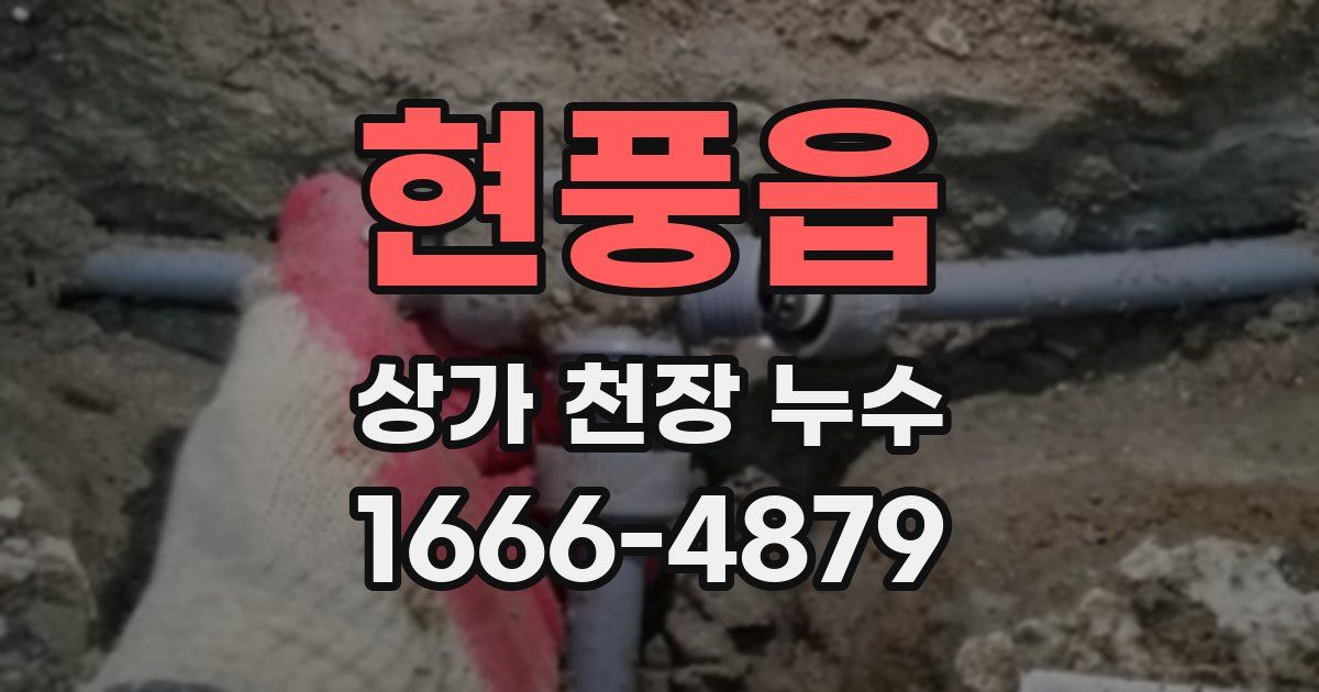 현풍읍 상가 천장 누수