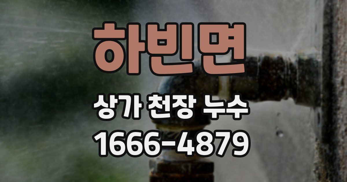 하빈면 상가 천장 누수