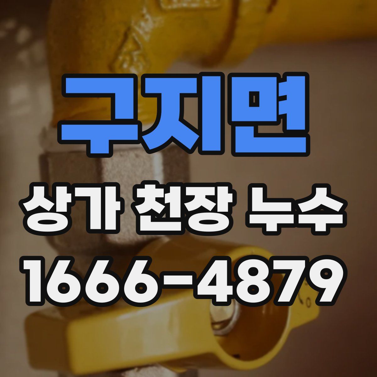 구지면 상가 천장 누수