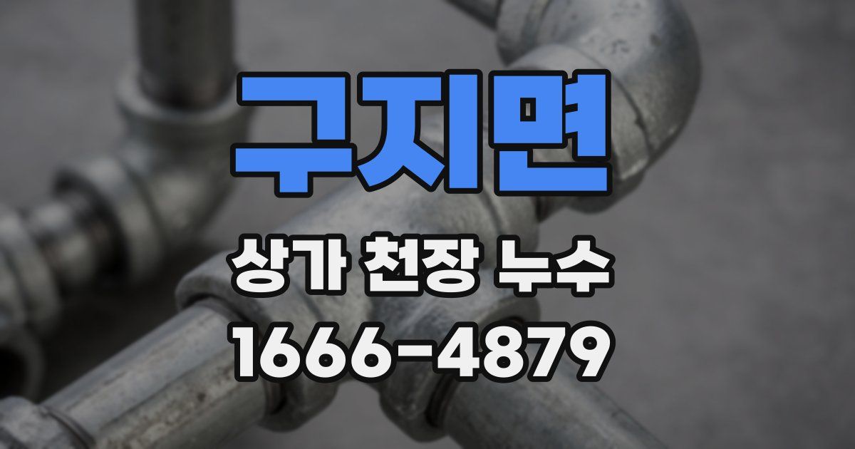 구지면 상가 천장 누수