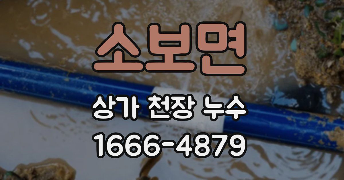 소보면 상가 천장 누수