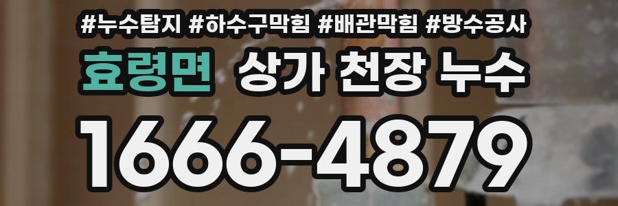 효령면 상가 천장 누수