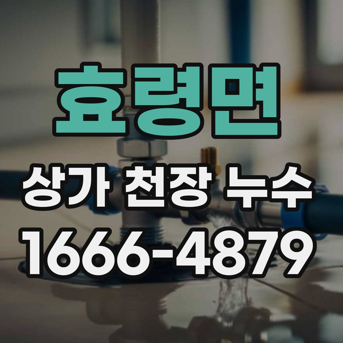 효령면 상가 천장 누수