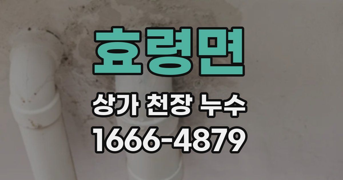 효령면 상가 천장 누수