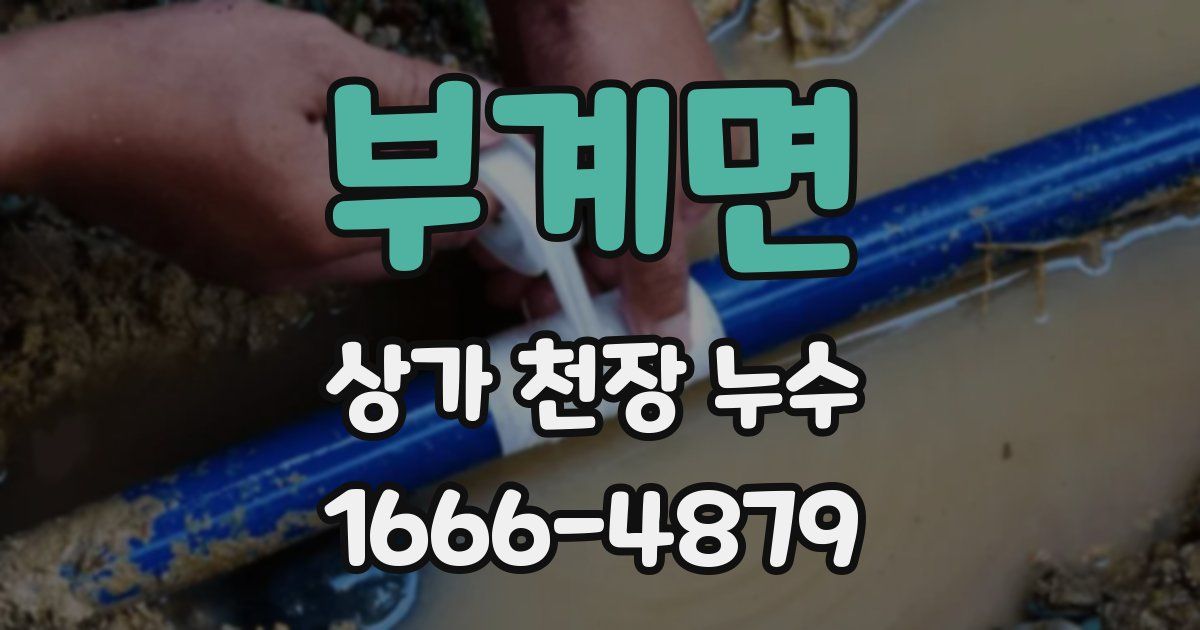 부계면 상가 천장 누수