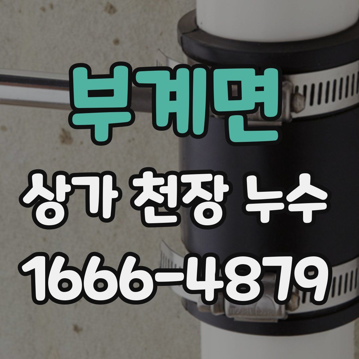 부계면 상가 천장 누수