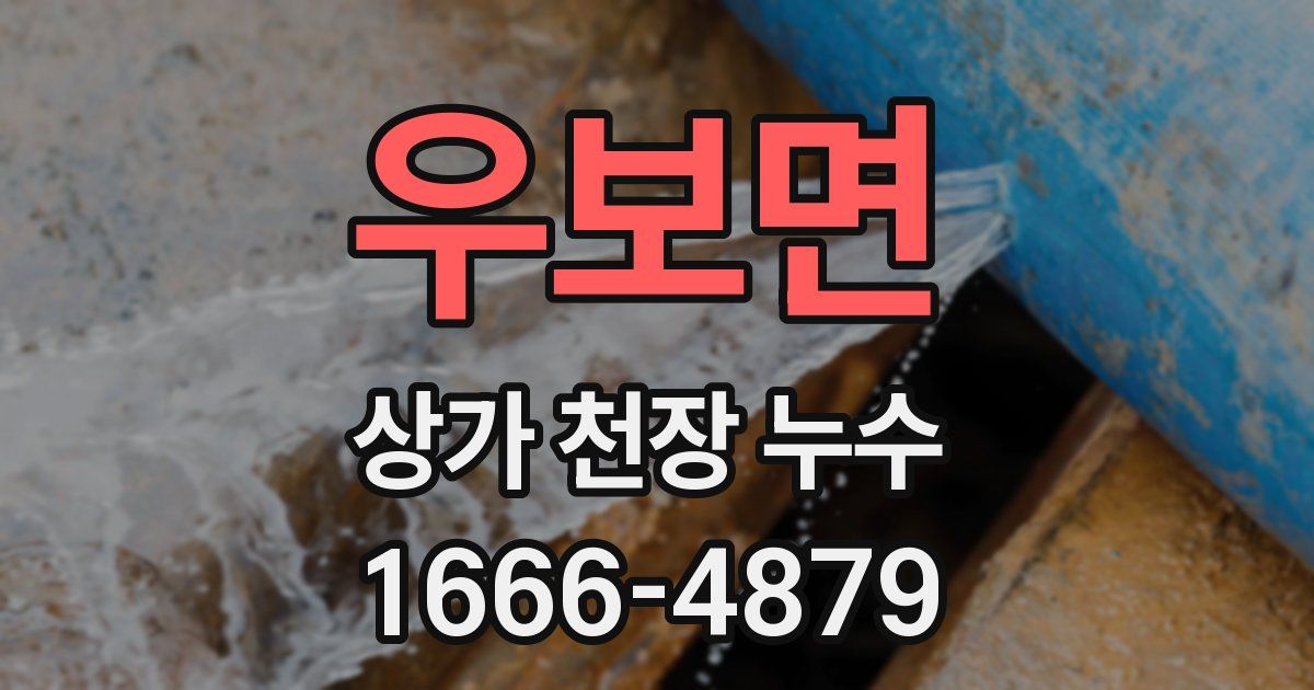 우보면 상가 천장 누수