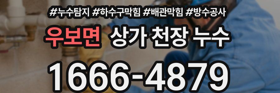 우보면 상가 천장 누수