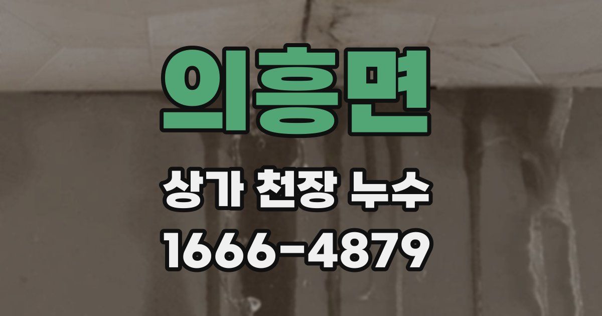 의흥면 상가 천장 누수