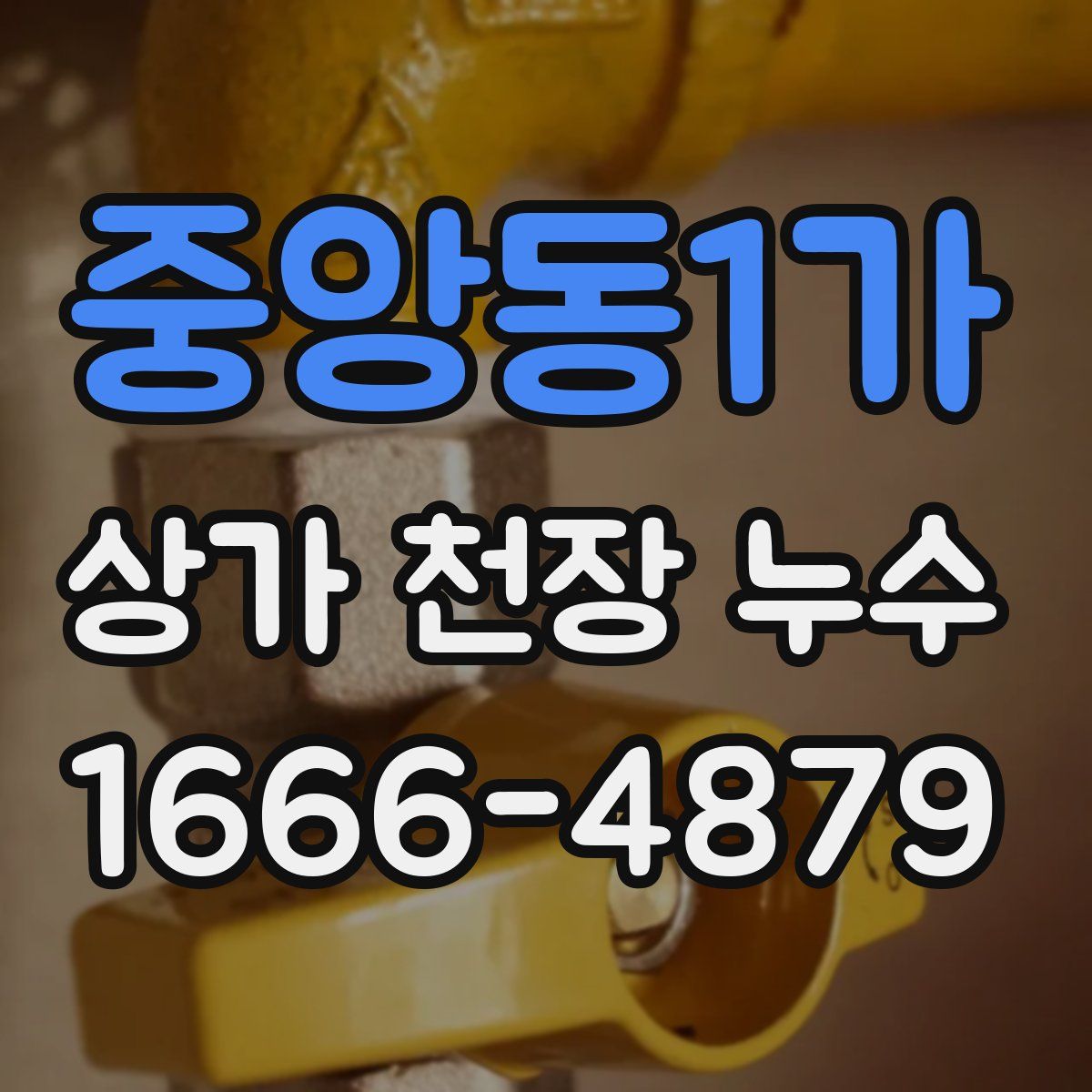 중앙동1가 상가 천장 누수