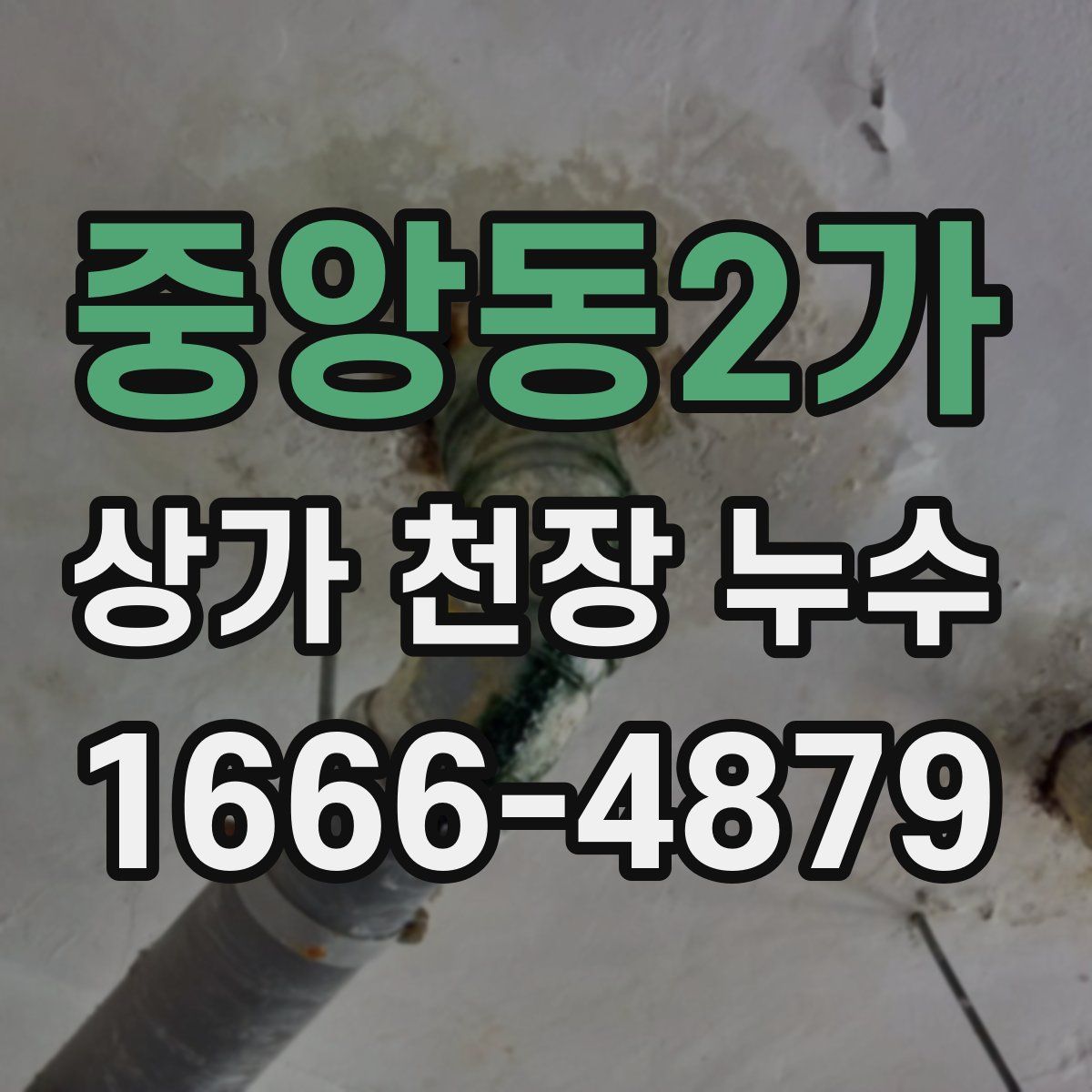 중앙동2가 상가 천장 누수