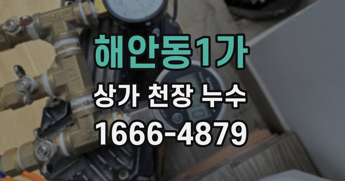 해안동1가 상가 천장 누수