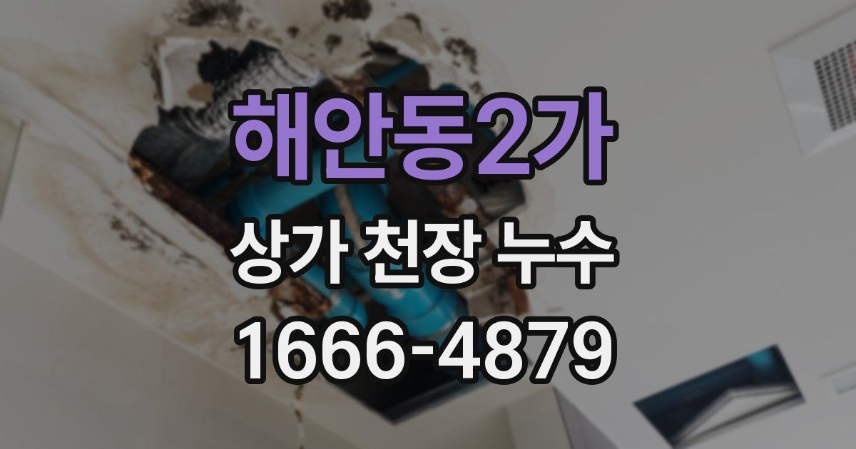 해안동2가 상가 천장 누수