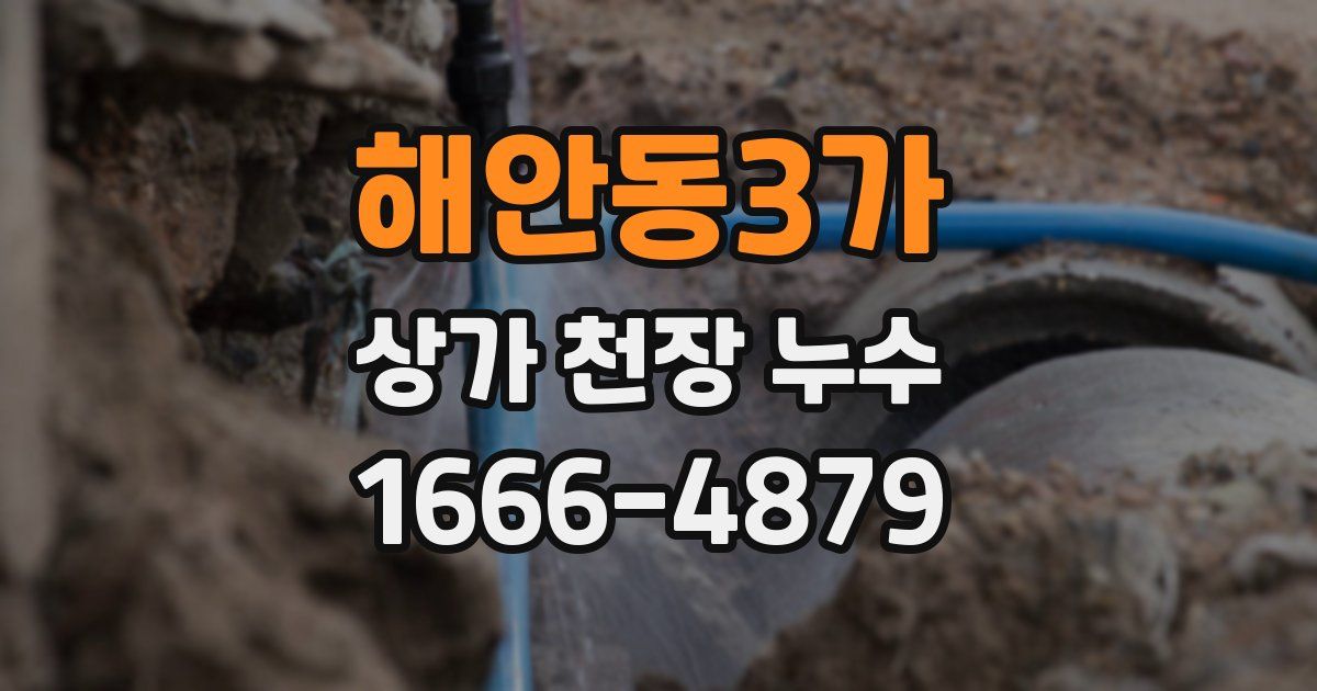 해안동3가 상가 천장 누수