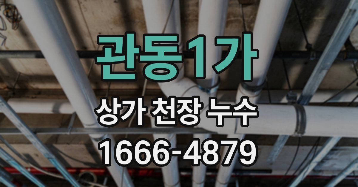 관동1가 상가 천장 누수