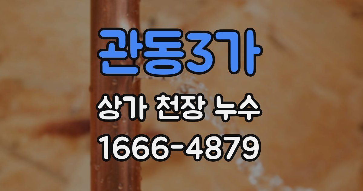 관동3가 상가 천장 누수