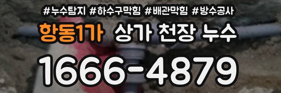항동1가 상가 천장 누수