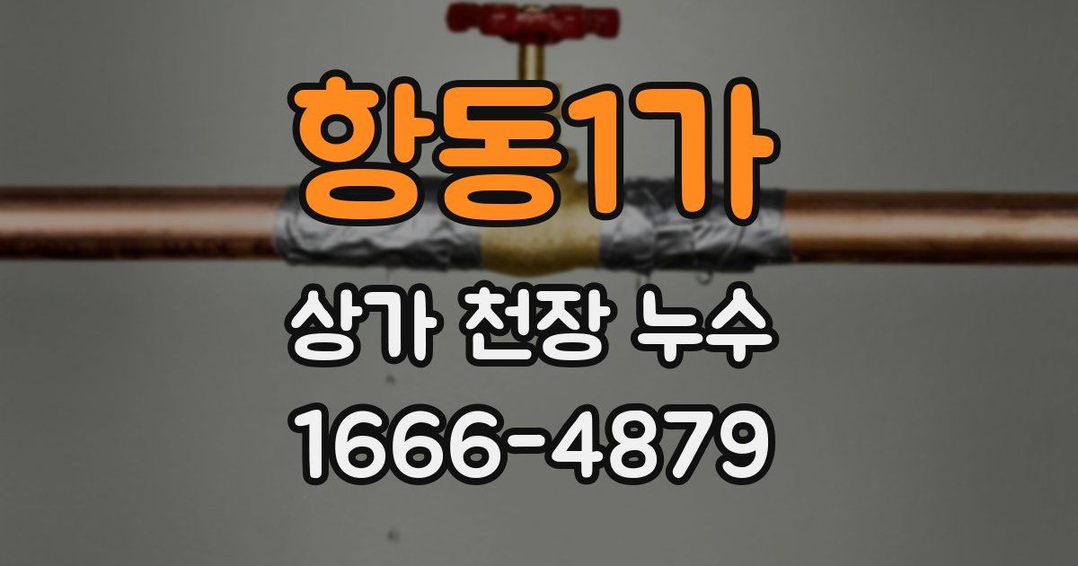 항동1가 상가 천장 누수