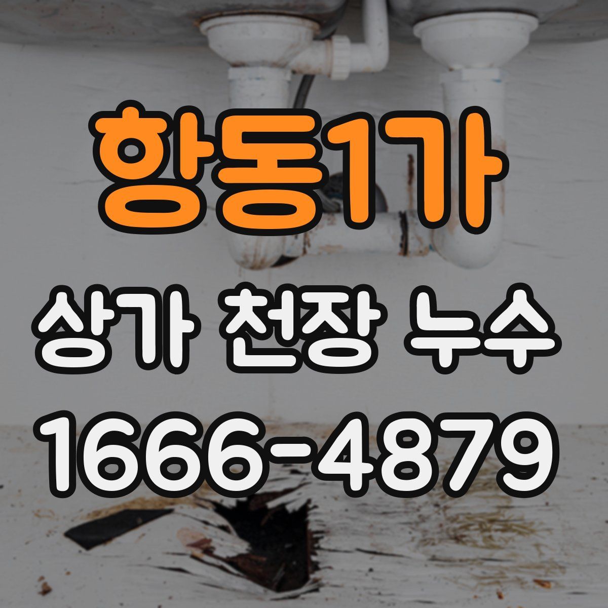 항동1가 상가 천장 누수