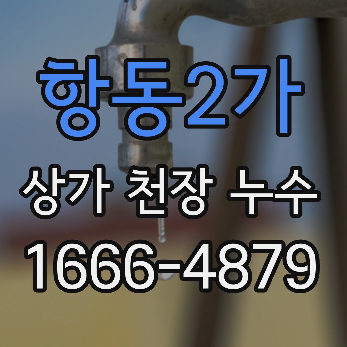 항동2가 상가 천장 누수