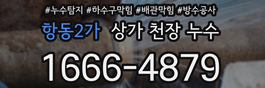 항동2가 상가 천장 누수