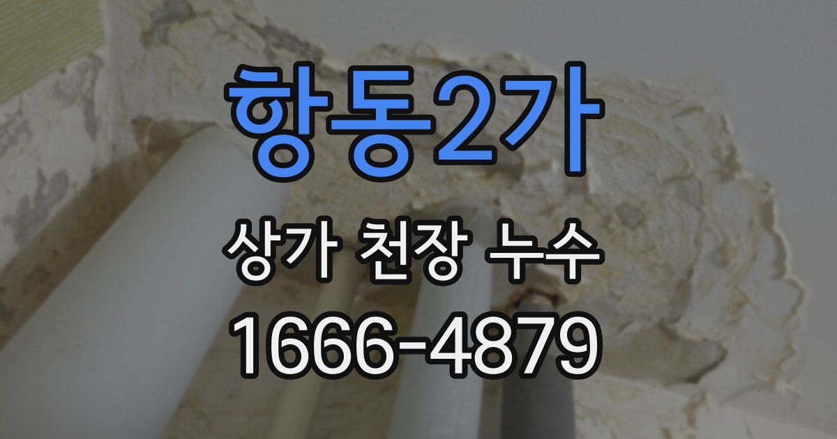 항동2가 상가 천장 누수