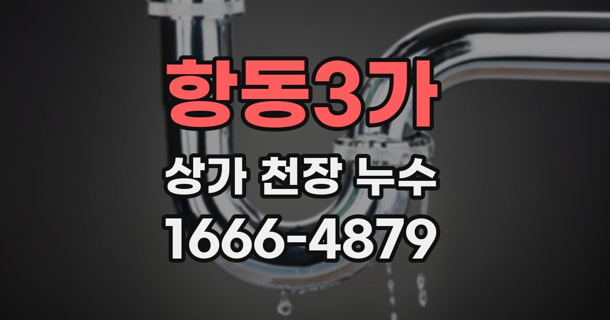 항동3가 상가 천장 누수