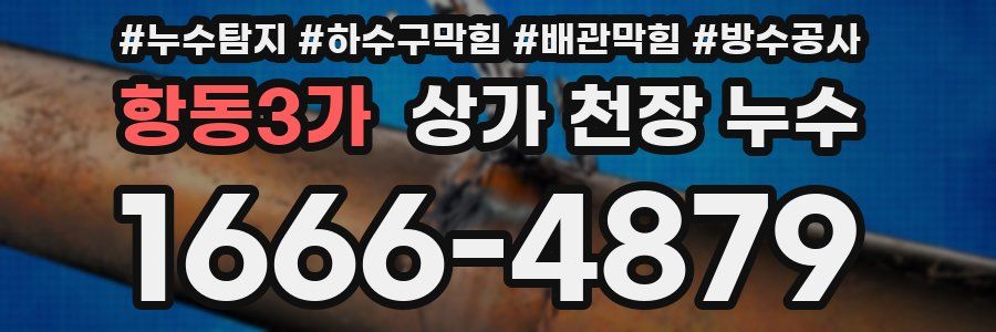 항동3가 상가 천장 누수