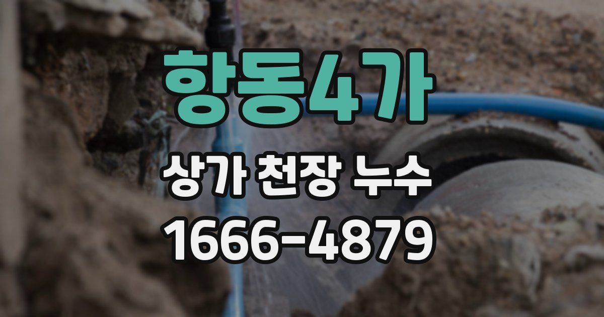 항동4가 상가 천장 누수