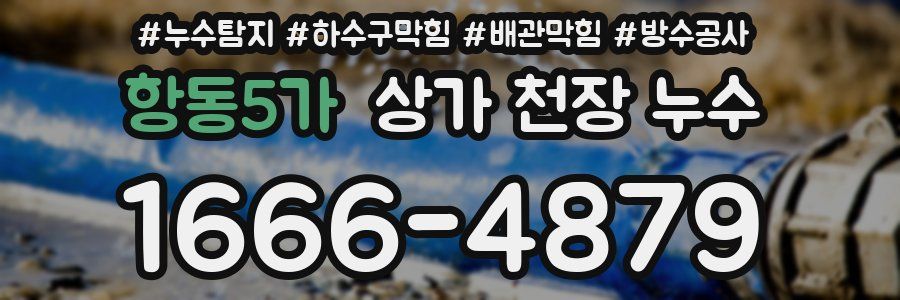 항동5가 상가 천장 누수