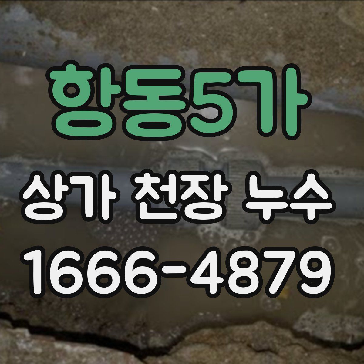 항동5가 상가 천장 누수