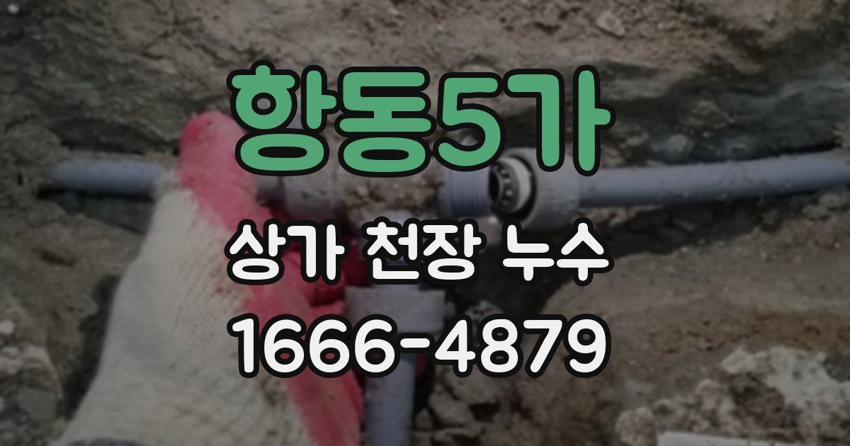 항동5가 상가 천장 누수