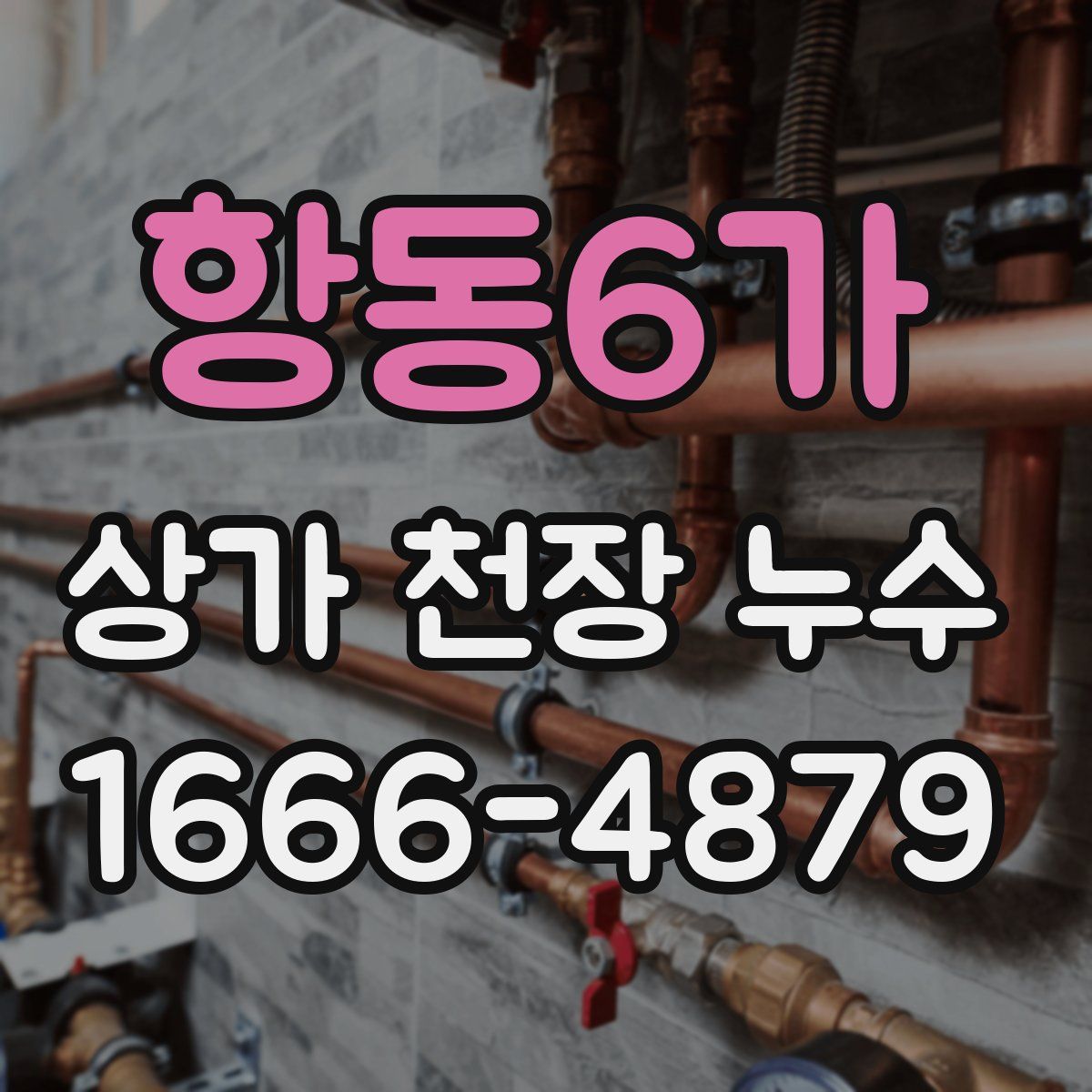 항동6가 상가 천장 누수