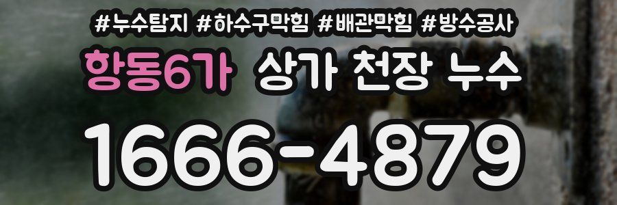 항동6가 상가 천장 누수