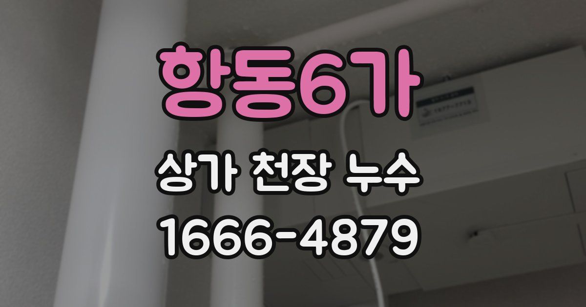 항동6가 상가 천장 누수