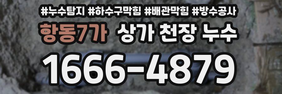 항동7가 상가 천장 누수