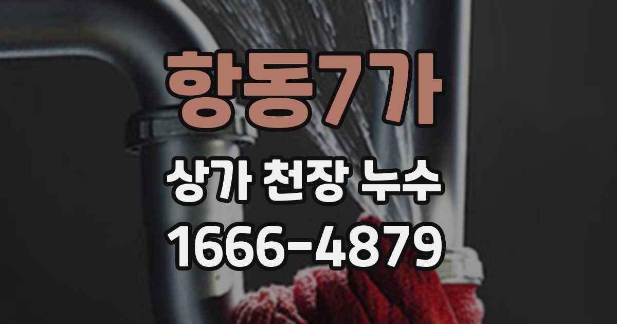 항동7가 상가 천장 누수