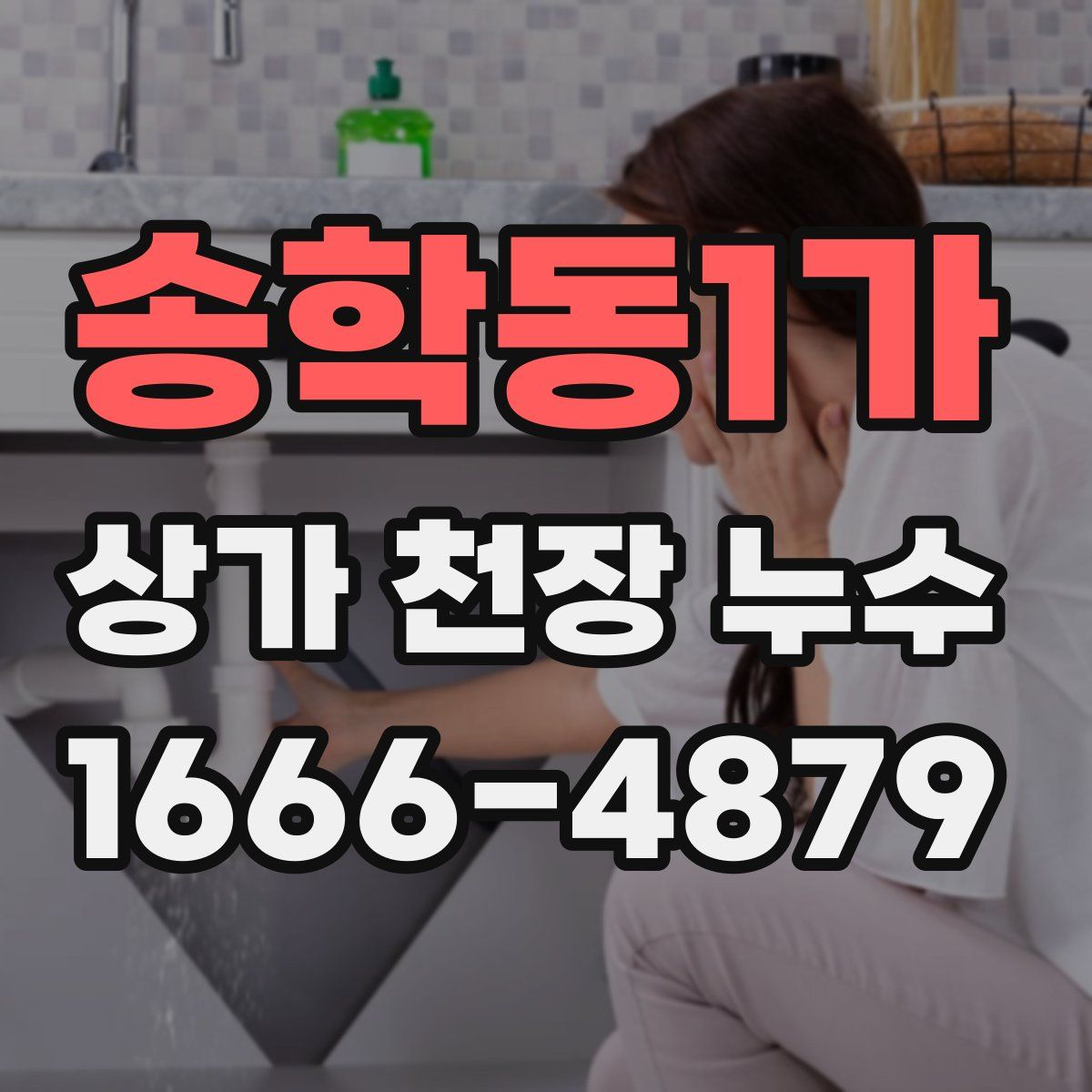 송학동1가 상가 천장 누수