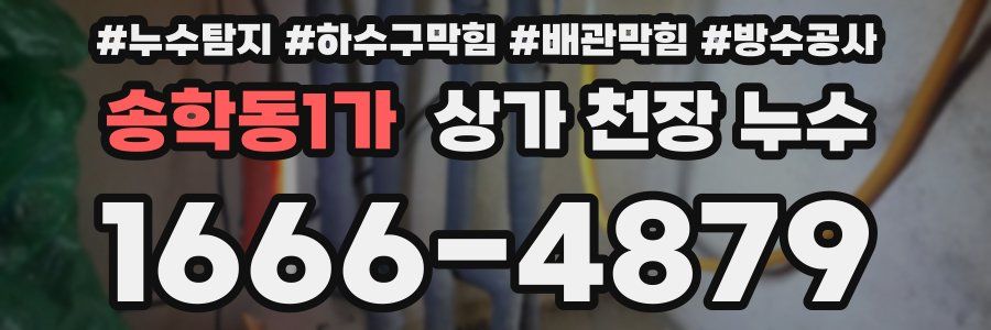 송학동1가 상가 천장 누수