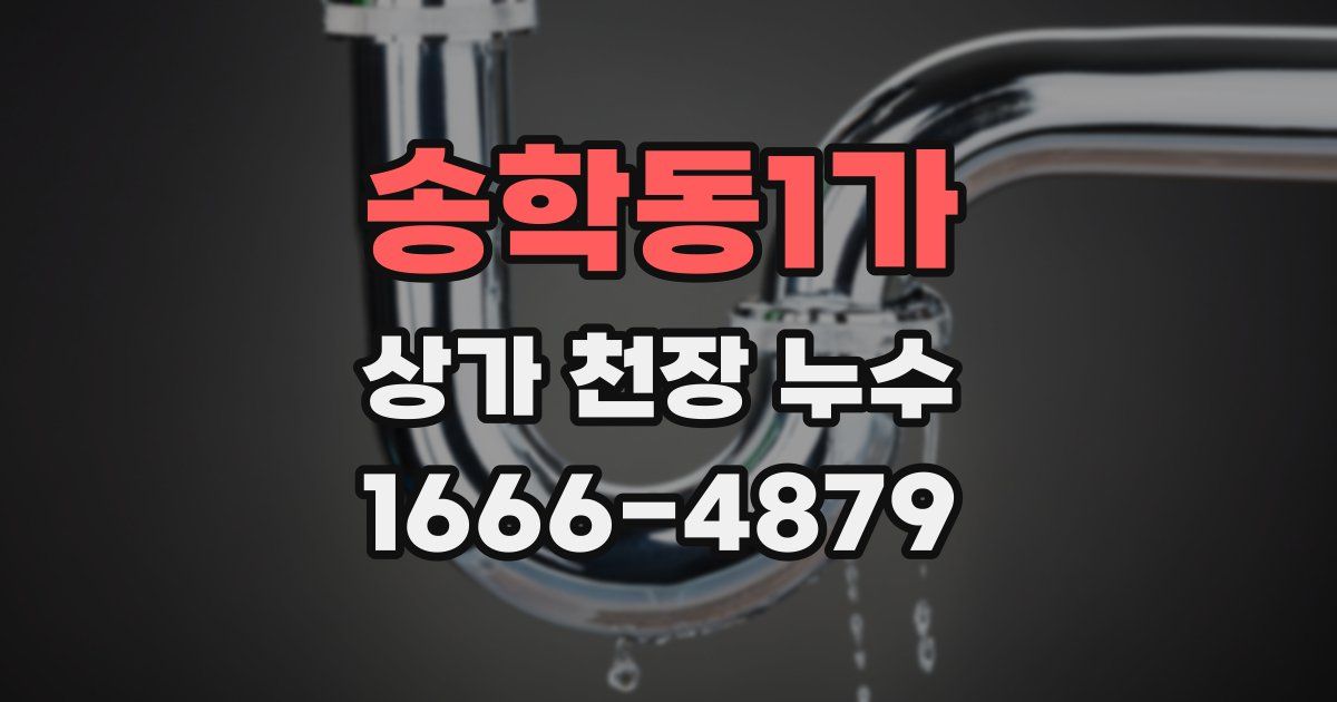 송학동1가 상가 천장 누수