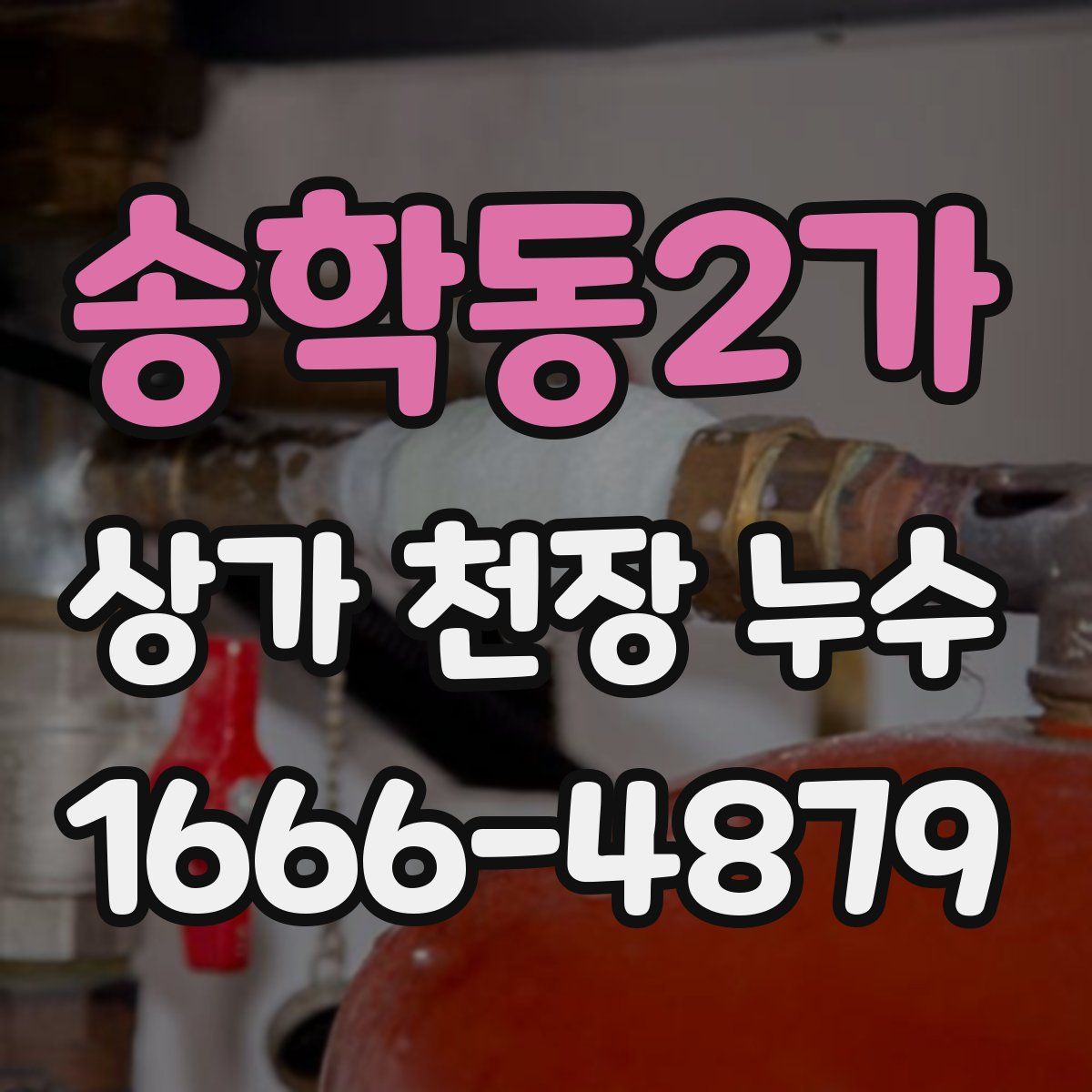 송학동2가 상가 천장 누수