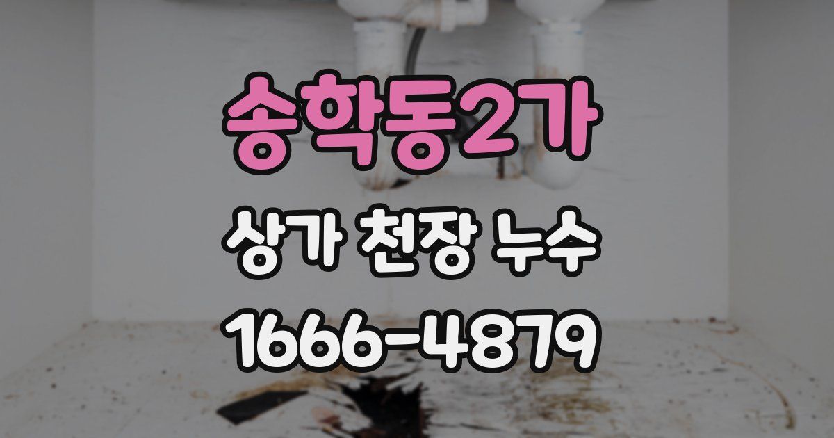 송학동2가 상가 천장 누수