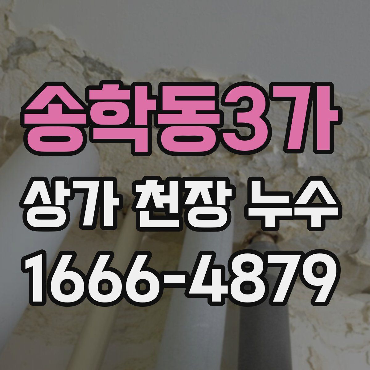 송학동3가 상가 천장 누수