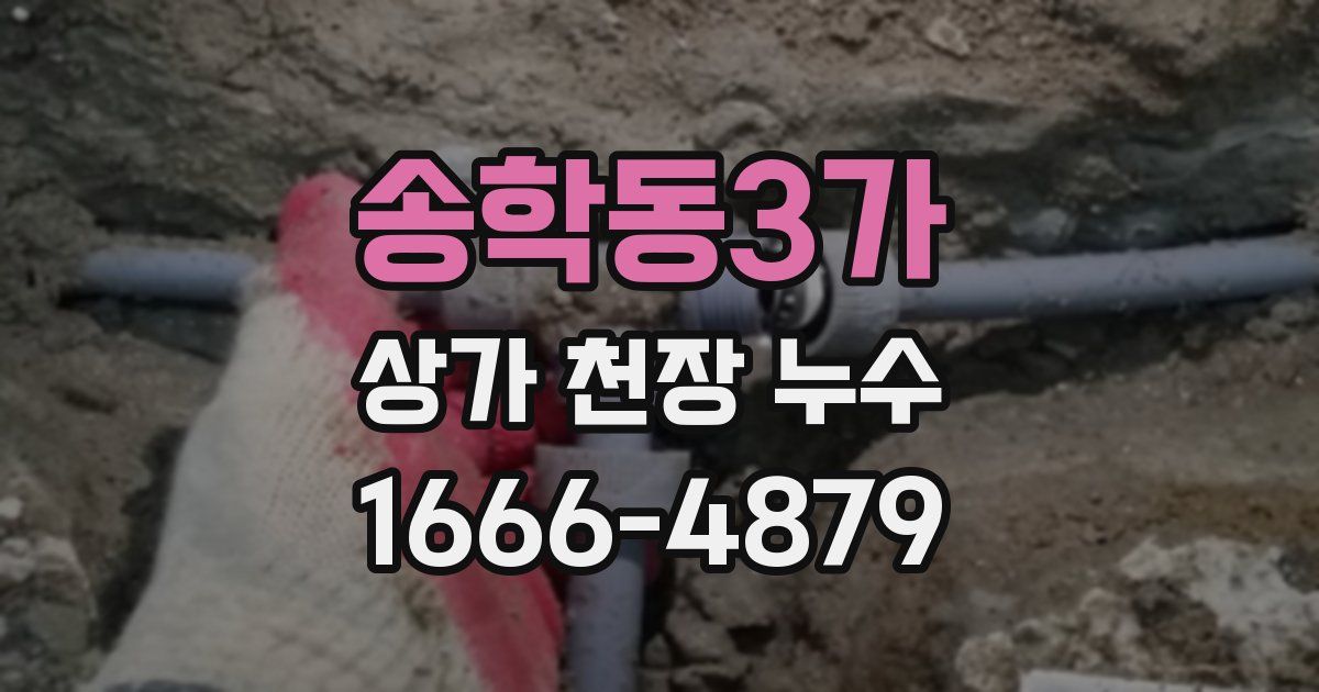 송학동3가 상가 천장 누수