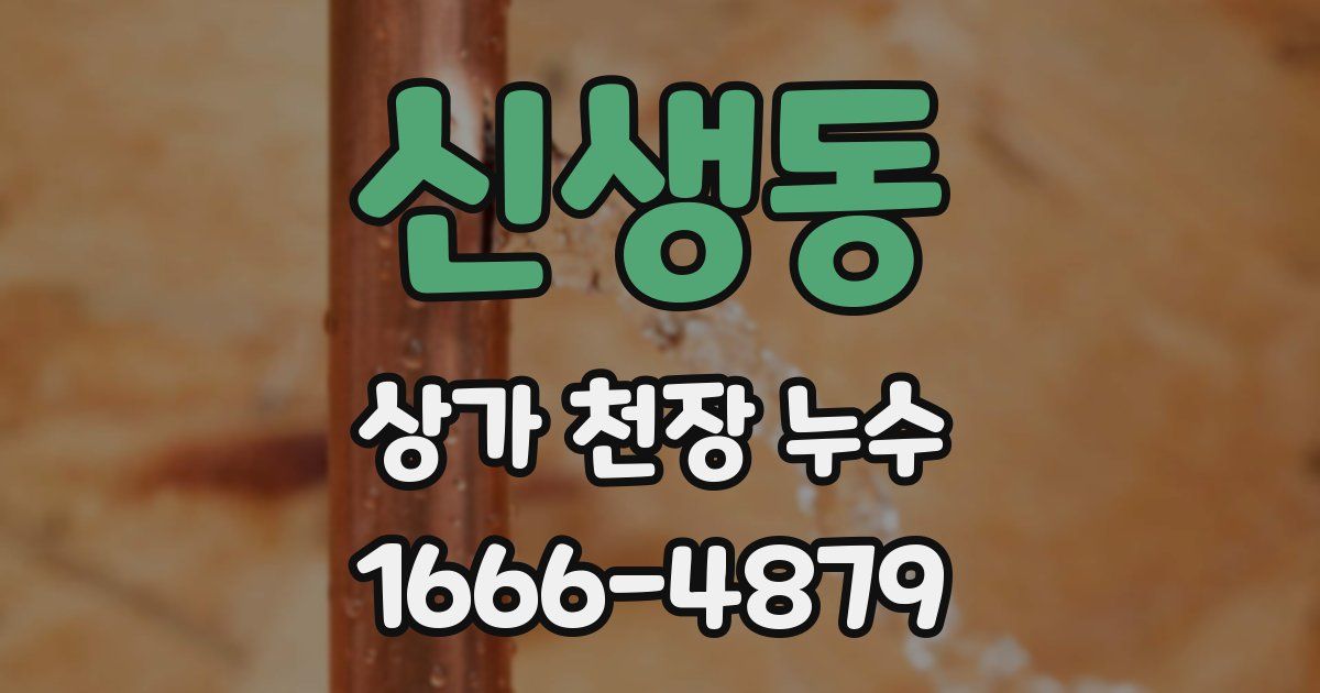 신생동 상가 천장 누수