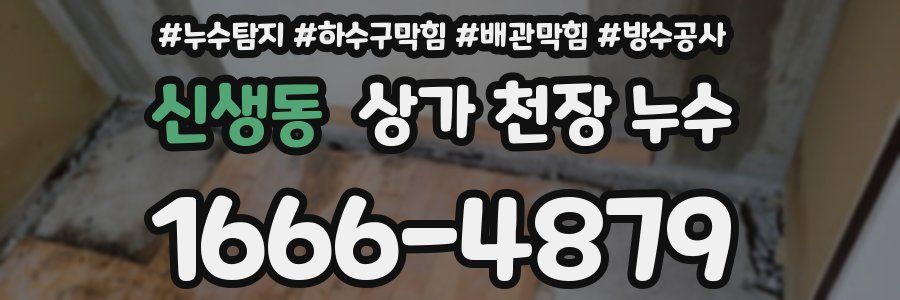 신생동 상가 천장 누수