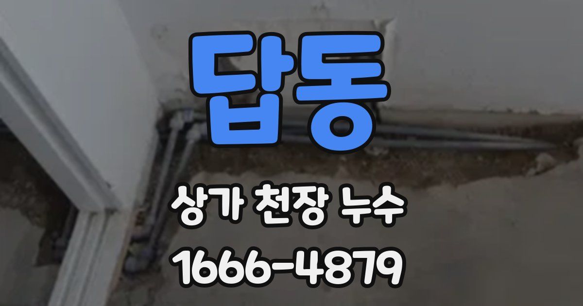답동 상가 천장 누수