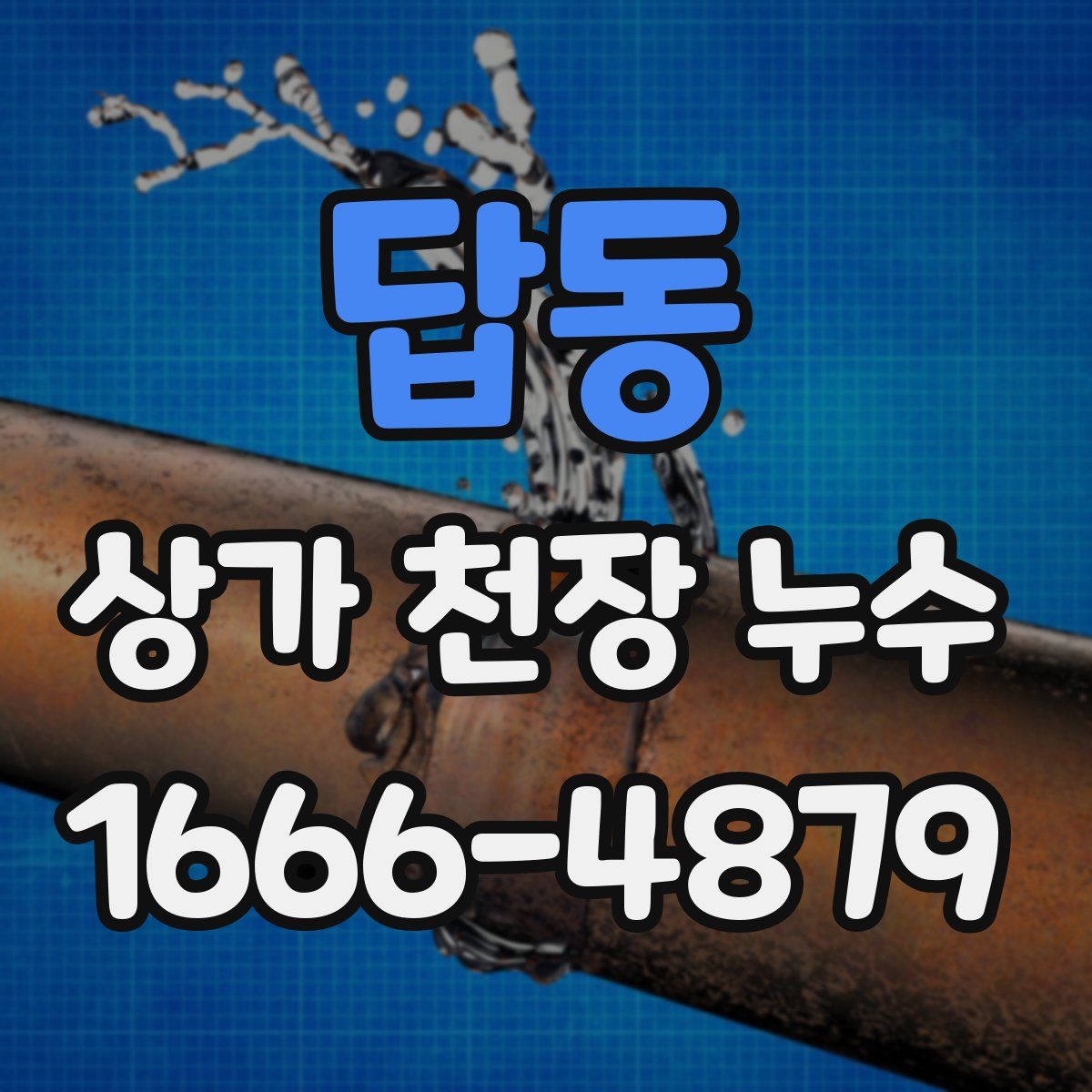 답동 상가 천장 누수
