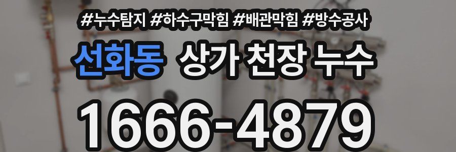 선화동 상가 천장 누수
