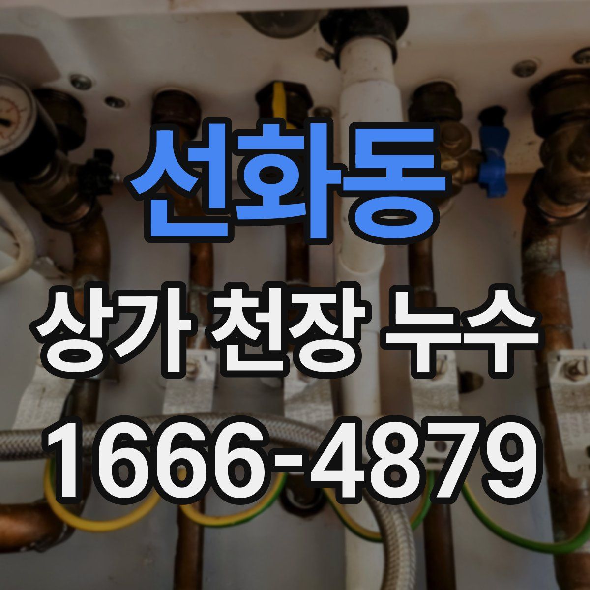 선화동 상가 천장 누수